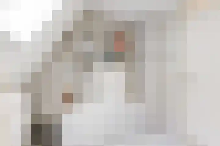 Maria van Sevenbergenstraat 6 Oosthuizen thumbnail 32