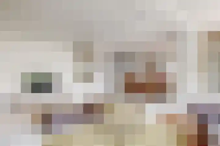 Maria van Sevenbergenstraat 6 Oosthuizen thumbnail 4