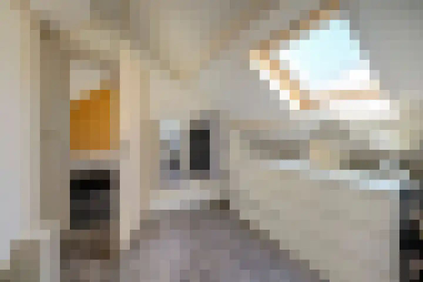 Maria van Vlaanderenstraat 8 Tholen thumbnail 29