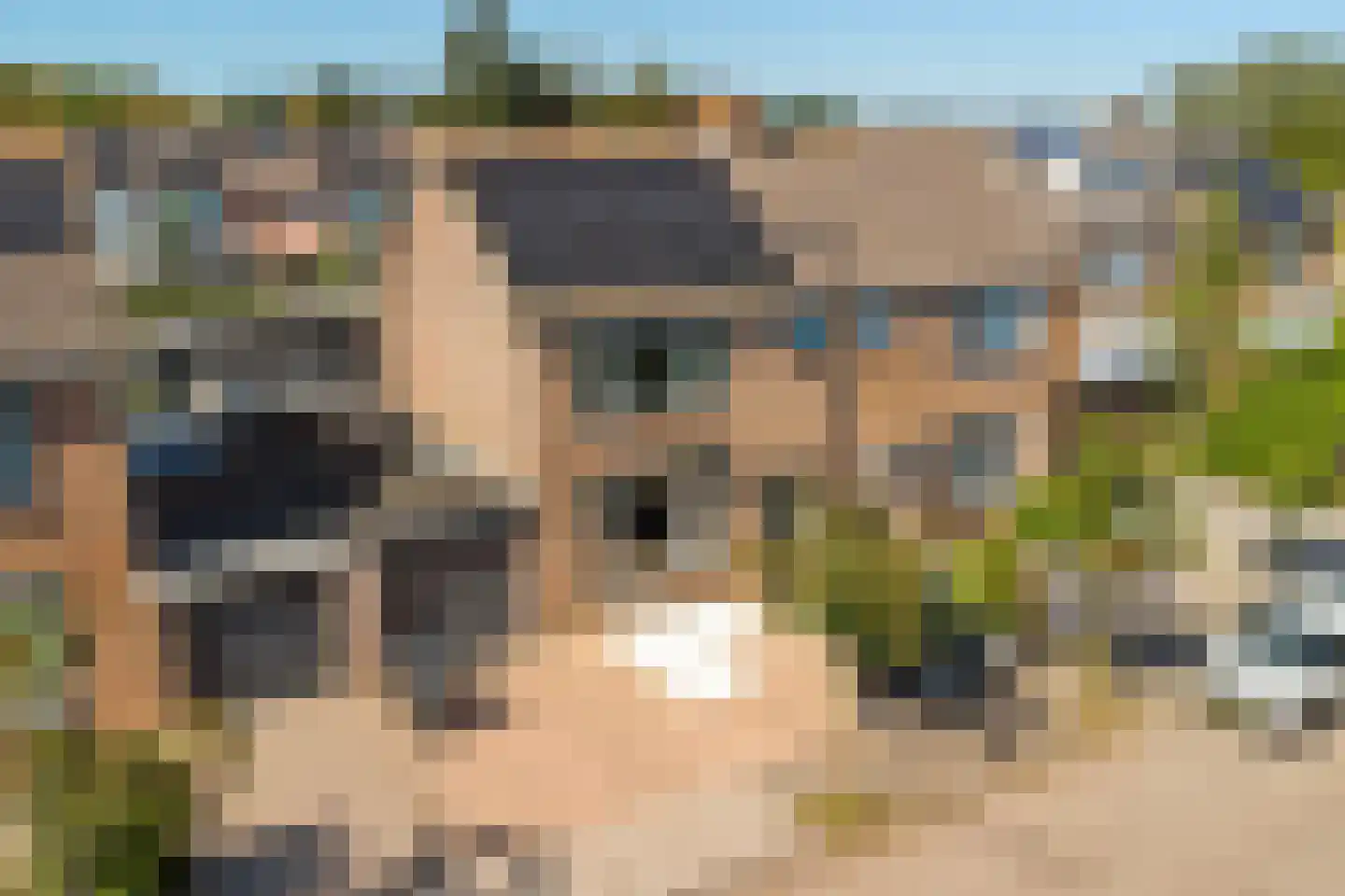 Maria van Vlaanderenstraat 8 Tholen thumbnail 47