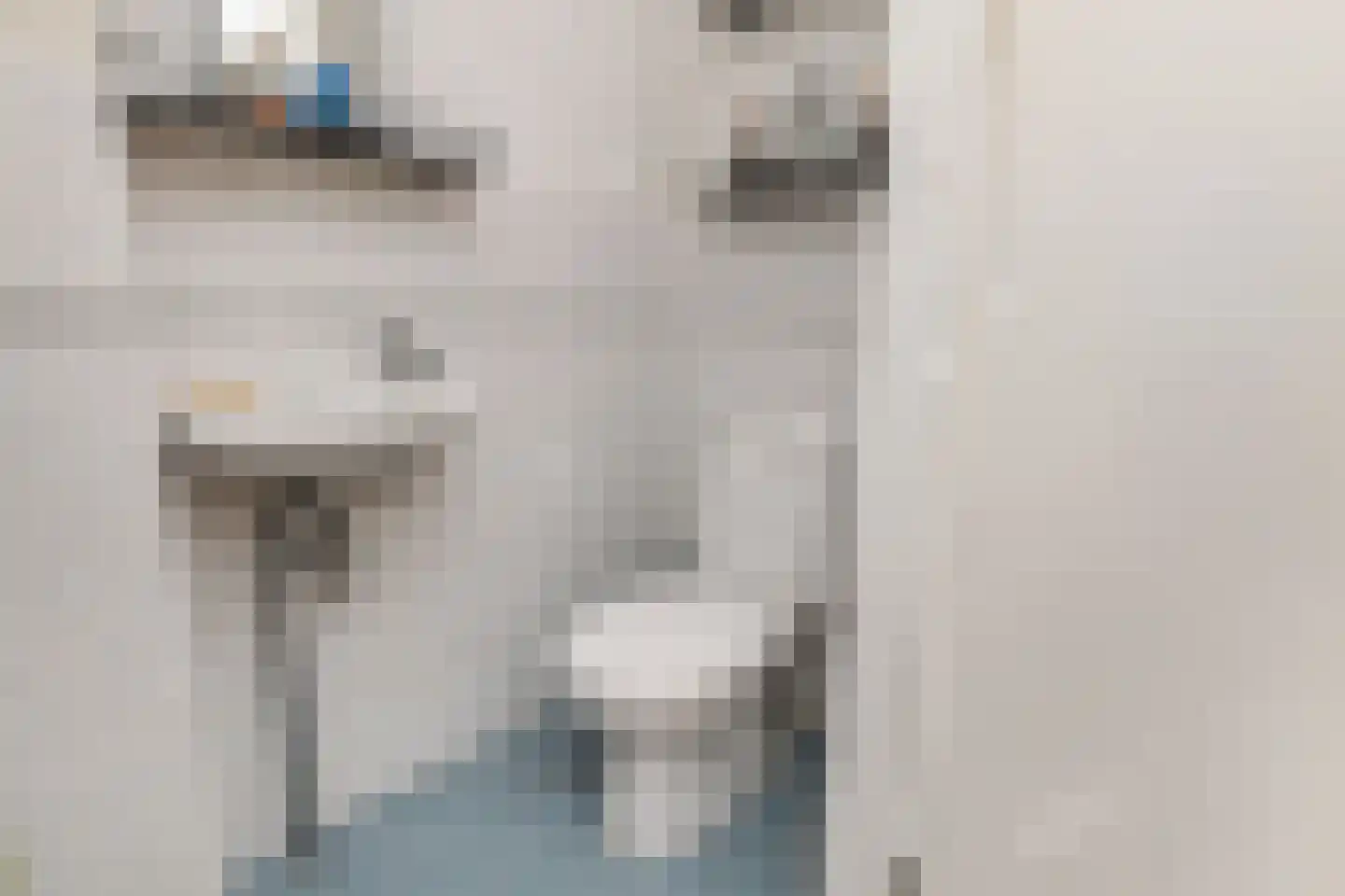 Maria van Wilsveenhof 32 Nootdorp thumbnail 23