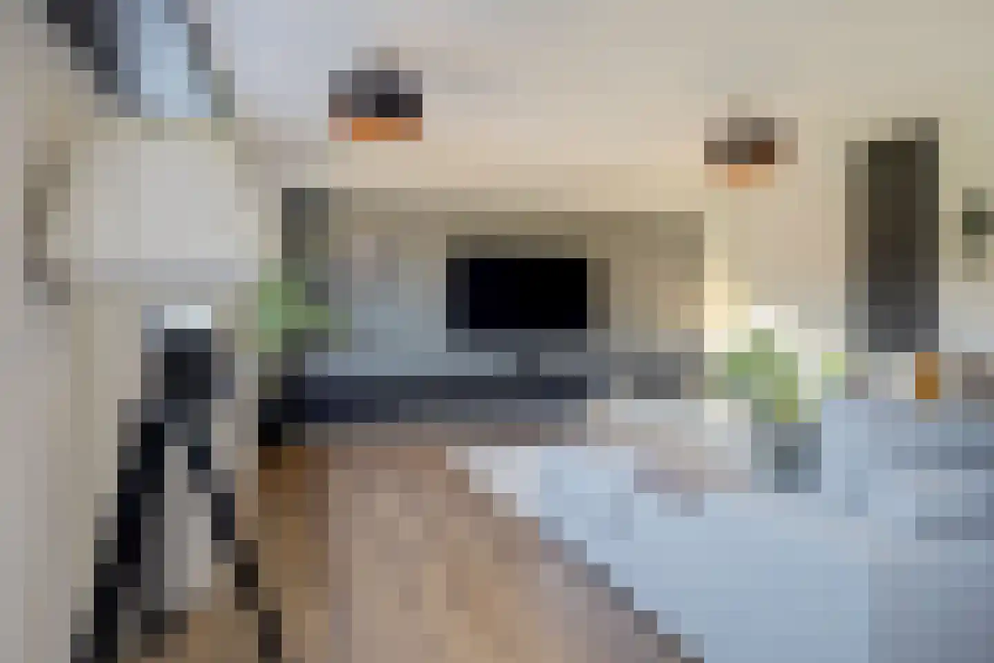 Maria van Wilsveenhof 5 Nootdorp thumbnail 29