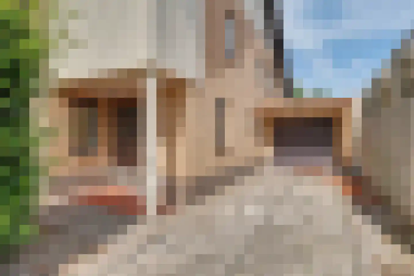 Maria Verhoevenstraat 14 Baarle-Nassau thumbnail 12
