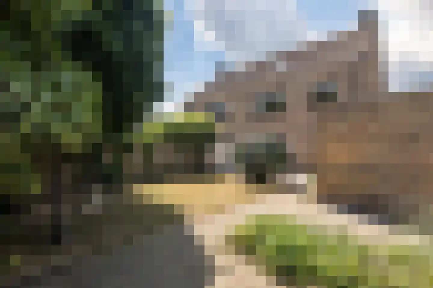 Maria Verhoevenstraat 4 Baarle-Nassau thumbnail 11