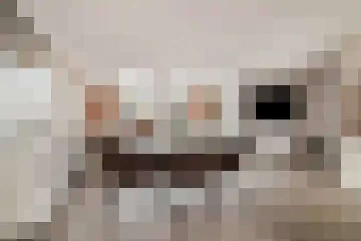Maria Vosstraat 12 Pijnacker thumbnail 13
