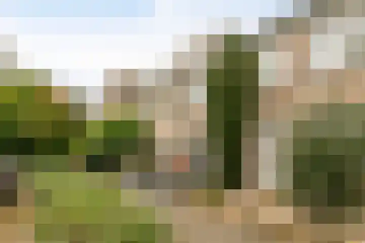 Maria Vosstraat 12 Pijnacker thumbnail 6