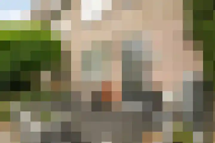 Maria Vosstraat 12 Pijnacker thumbnail 7