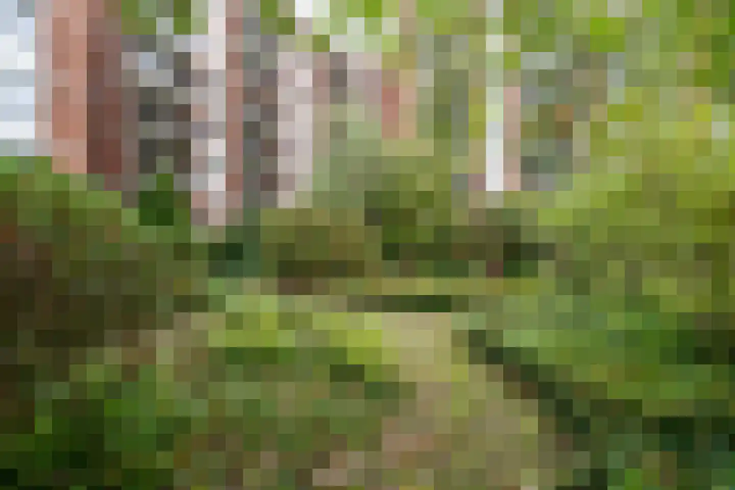 Mariabad 117 Heerlen thumbnail 24