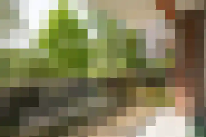 Mariabad 119 Heerlen thumbnail 18