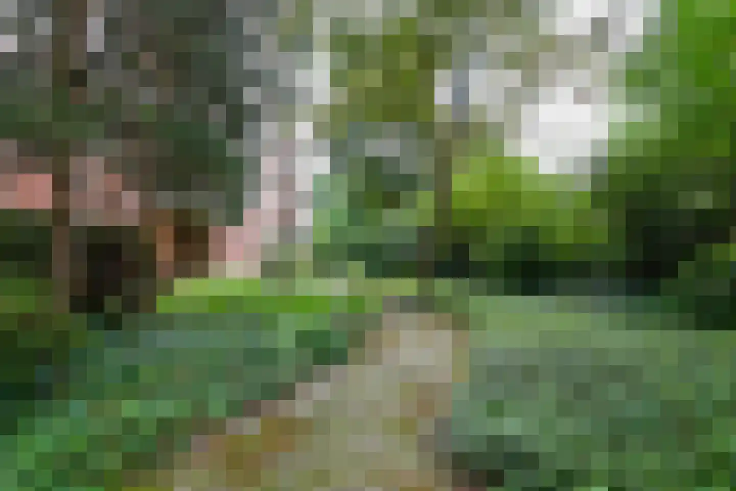 Mariabad 119 Heerlen thumbnail 25