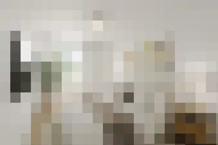 Mariabad 119 Heerlen thumbnail 9