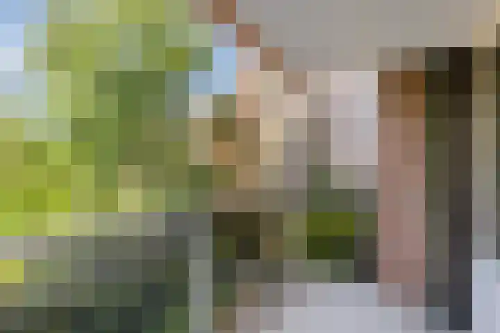 Mariabad 136 Heerlen thumbnail 16