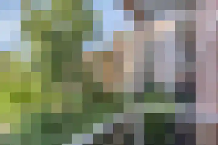 Mariabad 136 Heerlen thumbnail 24
