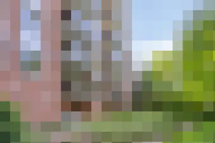 Mariabad 136 Heerlen thumbnail 25