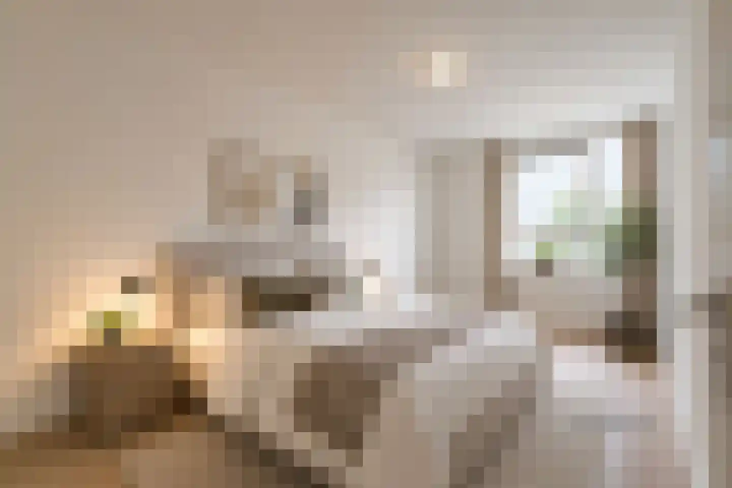 Mariabad 14 Heerlen thumbnail 10