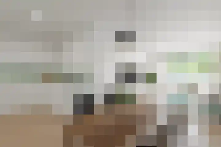Mariabad 169 Heerlen thumbnail 5