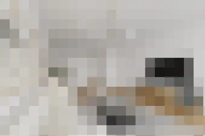 Mariabad 179 Heerlen thumbnail 8