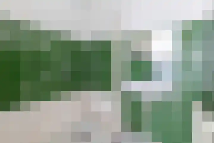 Mariabad 20 Heerlen thumbnail 15