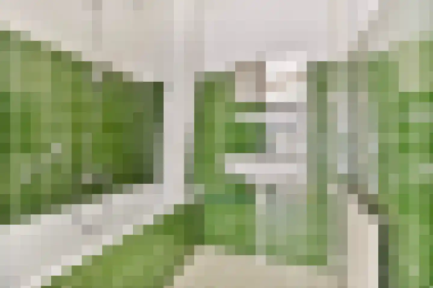 Mariabad 222 Heerlen thumbnail 18