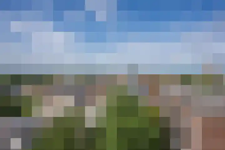 Mariabad 234 Heerlen thumbnail 10