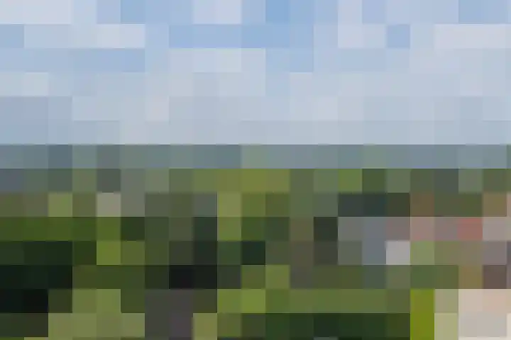 Mariabad 234 Heerlen thumbnail 4