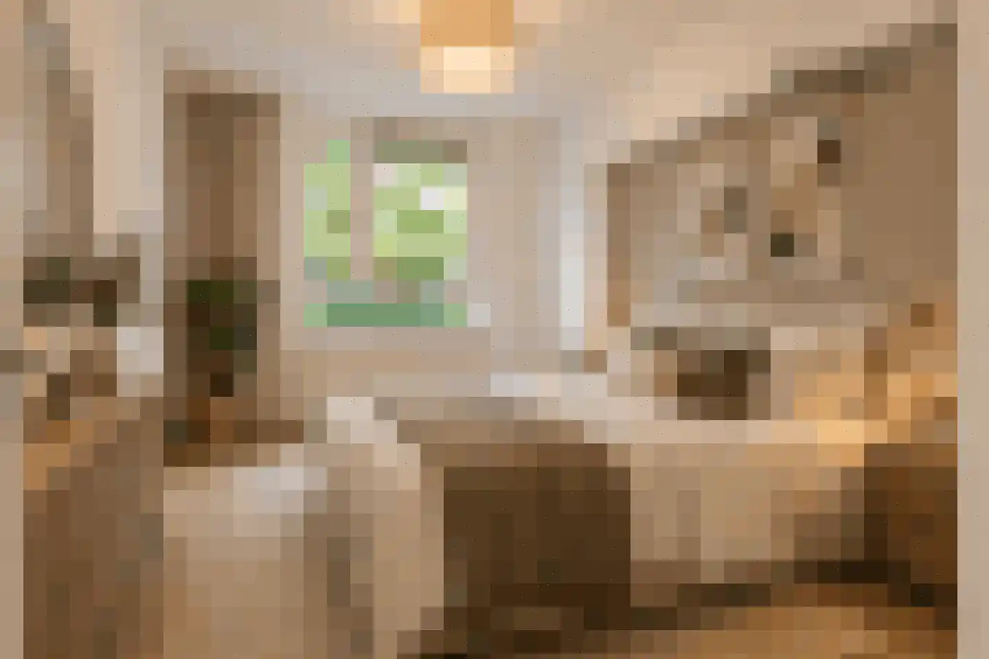 Mariabad 7 Heerlen thumbnail 10
