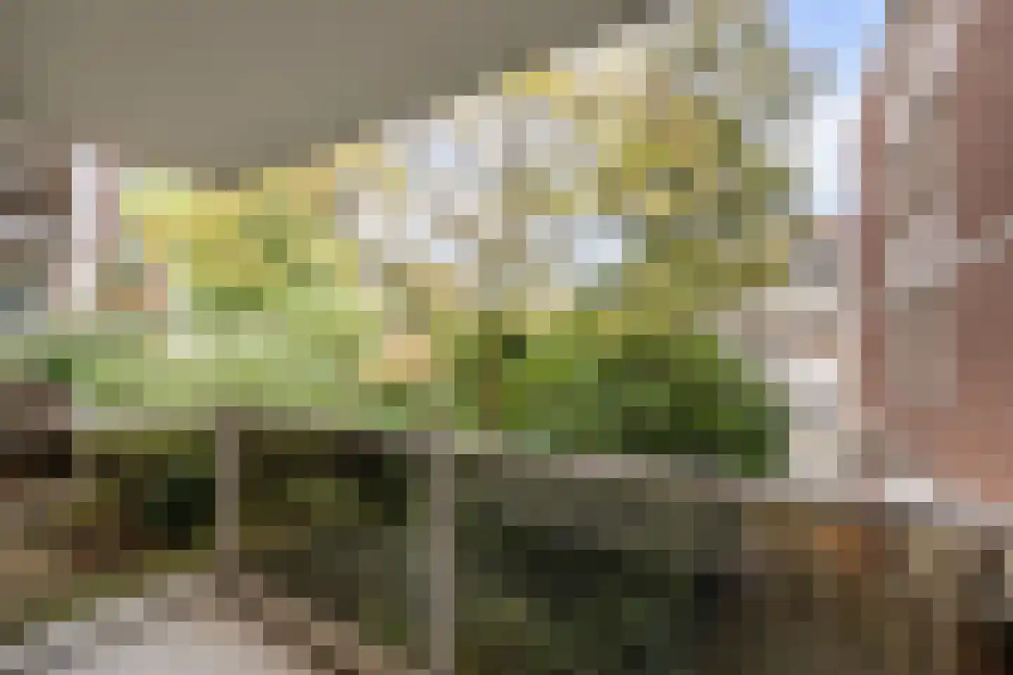 Mariabad 7 Heerlen thumbnail 11
