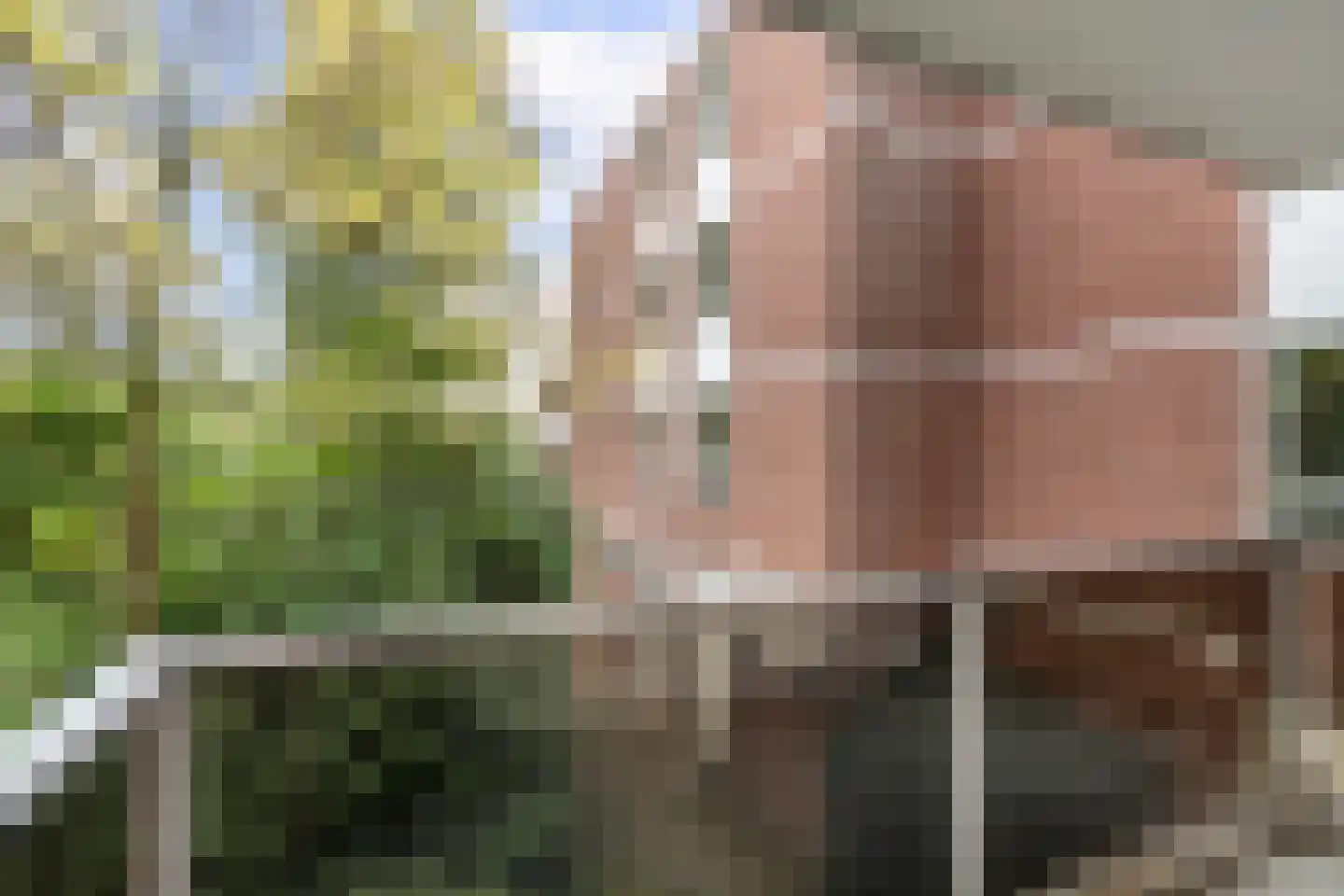 Mariabad 7 Heerlen thumbnail 12