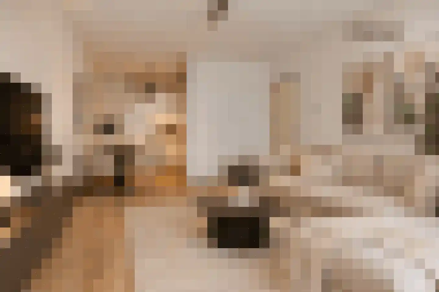 Mariabad 7 Heerlen thumbnail 4