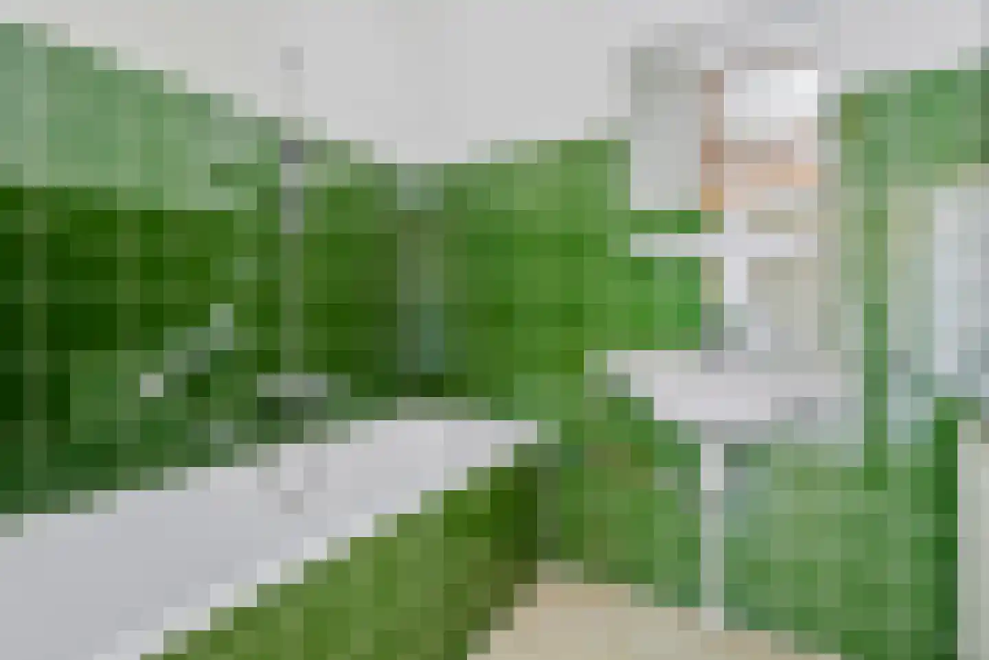 Mariabad 75 Heerlen thumbnail 19