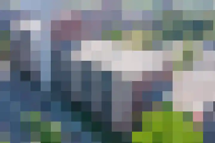 Mariabad 83 Heerlen thumbnail 21