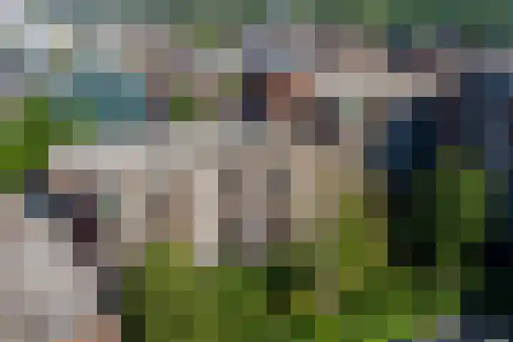 Mariabad 83 Heerlen thumbnail 22