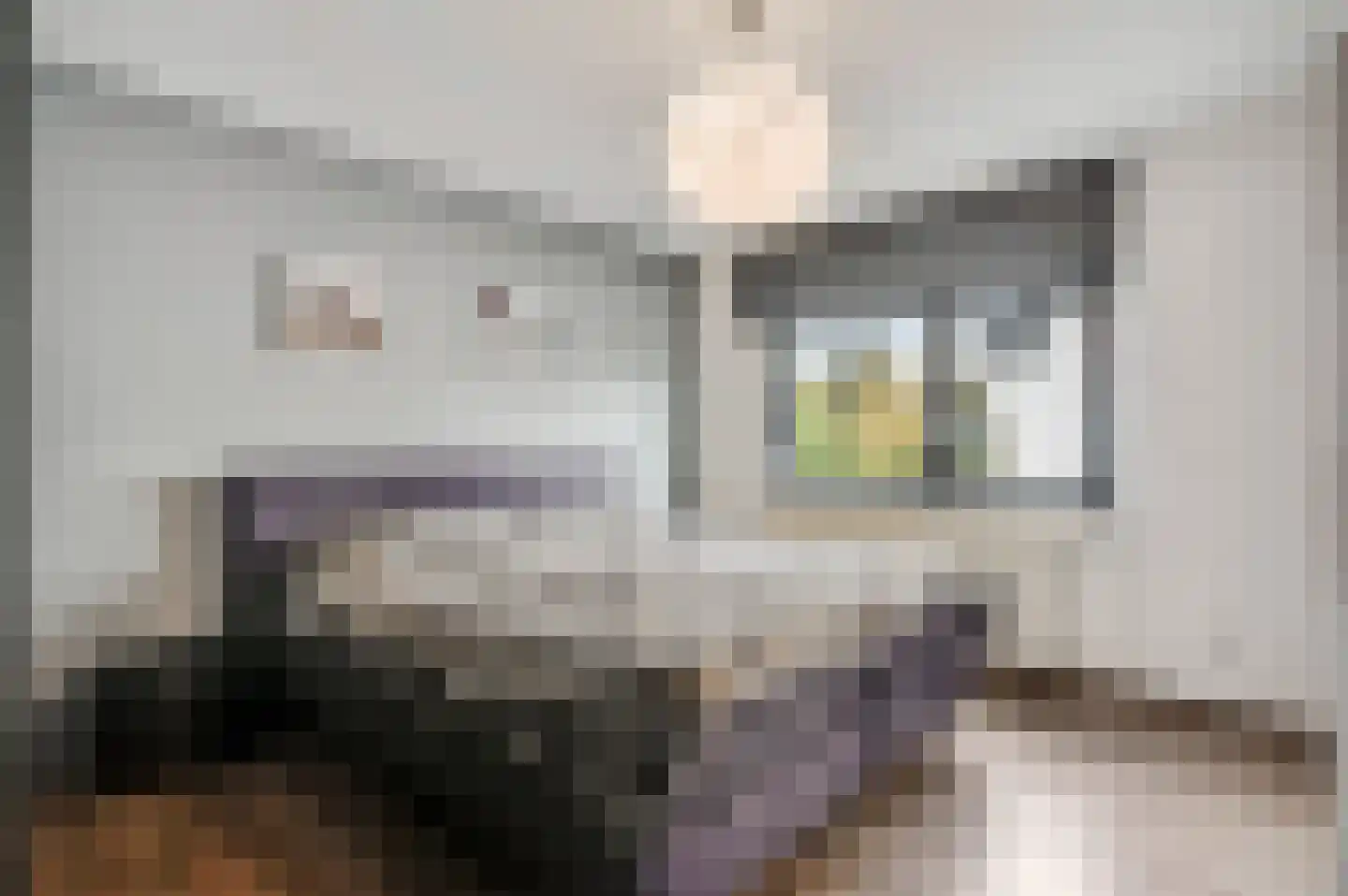 Mariabergstraat 2 b Schinveld thumbnail 16