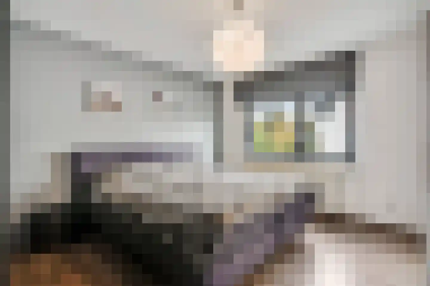 Mariabergstraat 2 b Schinveld thumbnail 16