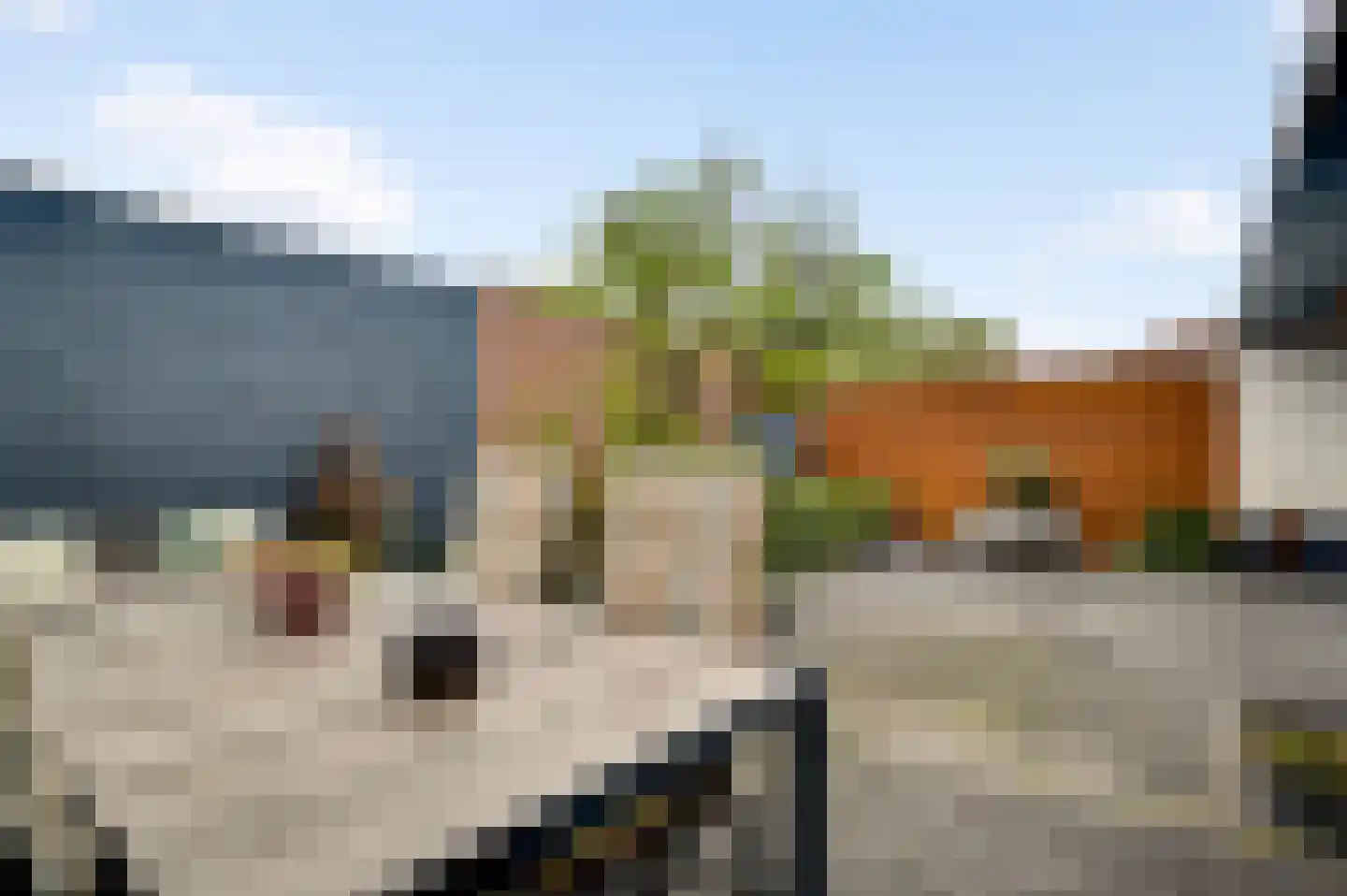 Mariabergstraat 2 b Schinveld thumbnail 23