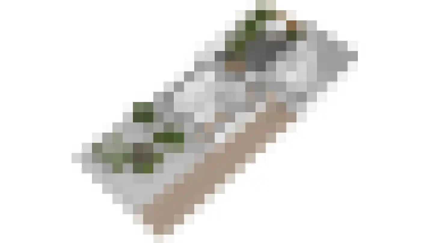 Mariabergstraat 2 b Schinveld thumbnail 27