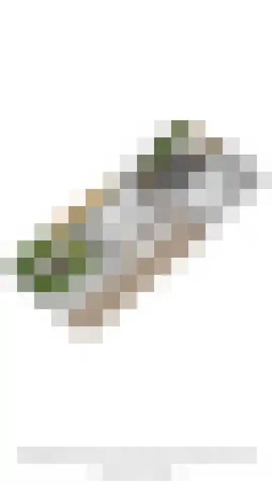 Mariabergstraat 2 b Schinveld thumbnail 37