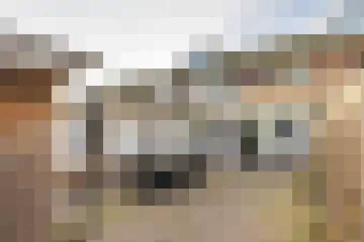 Mariadal 10 Venlo thumbnail 17