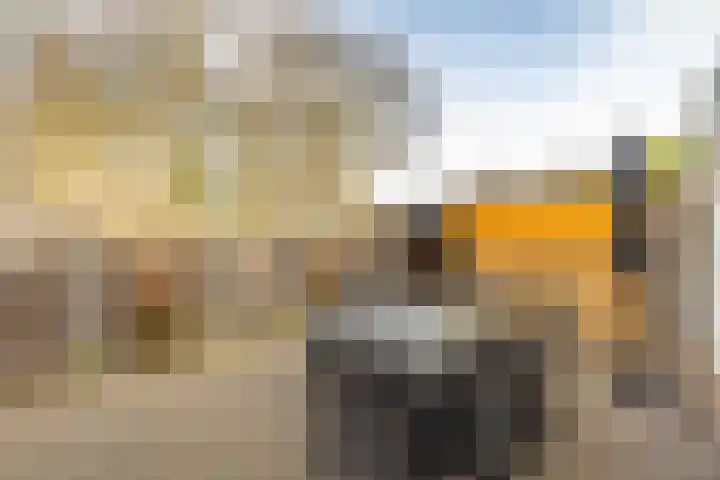 Mariadal 10 Venlo thumbnail 19
