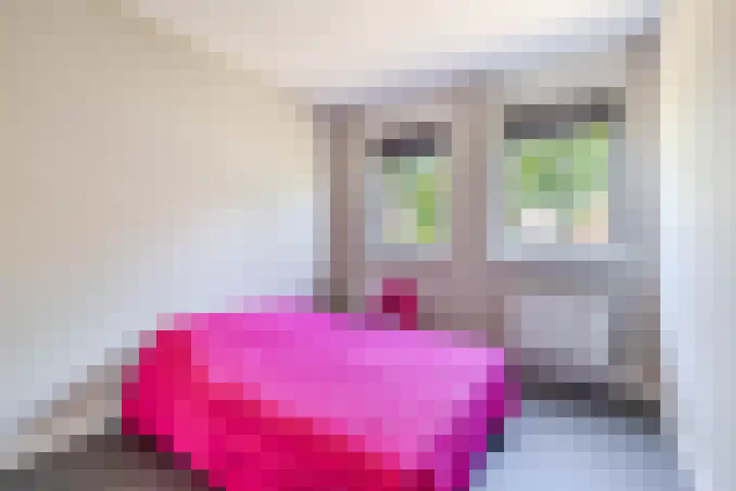 Mariadijk 22 Goedereede thumbnail 23