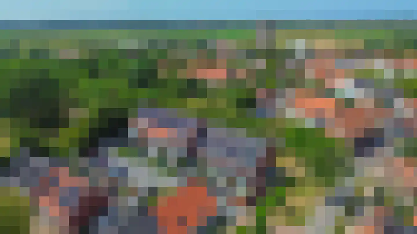 Mariadijk 22 Goedereede thumbnail 45