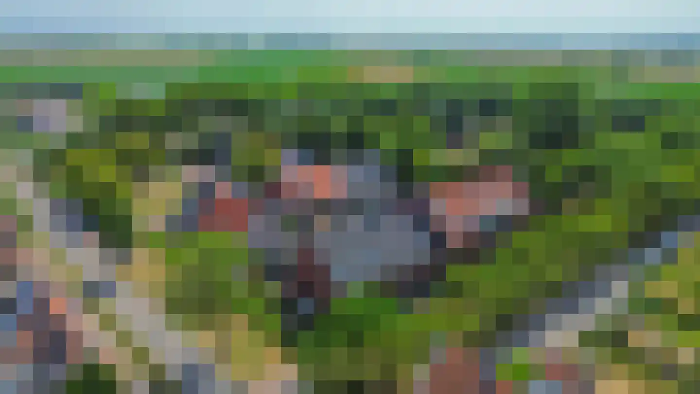Mariadijk 22 Goedereede thumbnail 45