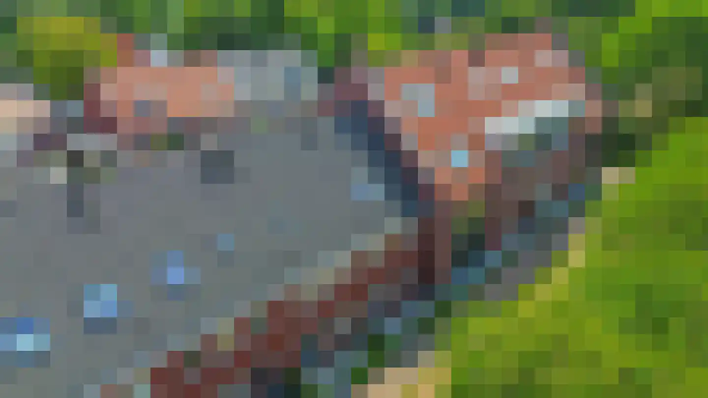 Mariadijk 22 Goedereede thumbnail 46