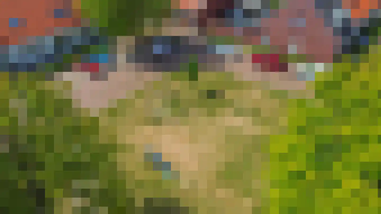 Mariadijk 22 Goedereede thumbnail 49