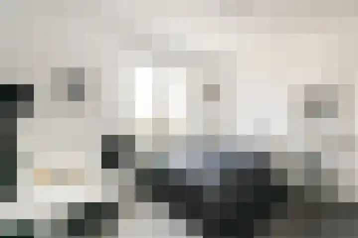 Mariadistelkade 11 Amsterdam thumbnail 12