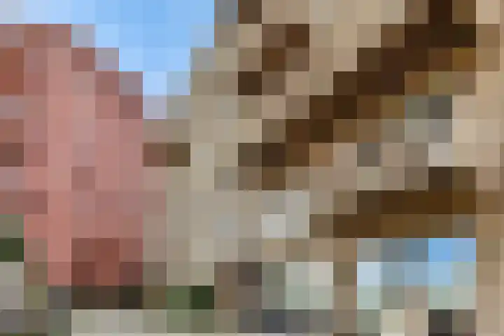 Mariadistelkade 11 Amsterdam thumbnail 16