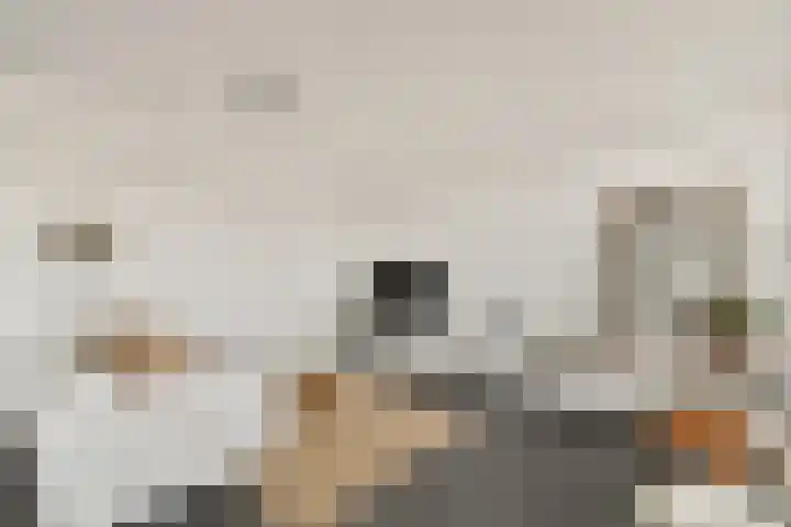 Mariadistelkade 11 Amsterdam thumbnail 7