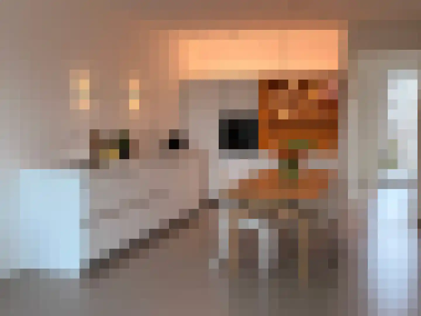 Mariadistelkade 51 Amsterdam thumbnail 12