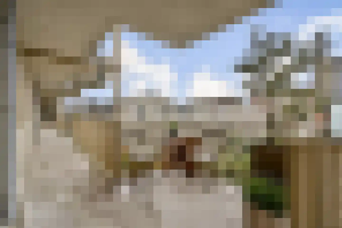 Mariadistelkade 51 Amsterdam thumbnail 6