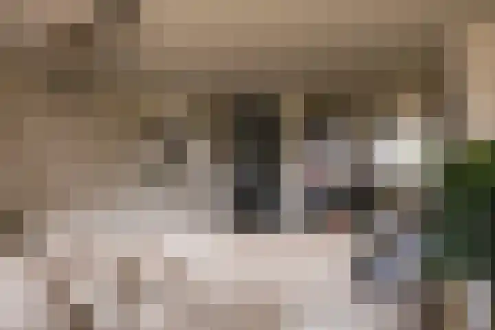 Mariagardestraat 317 Roermond thumbnail 4